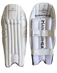 Image 4 of WICKET KEEPING EQUIPENT