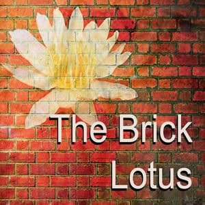 Image of CLICK ME!  The Brick Lotus