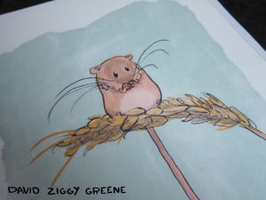 Harvest Mouse print