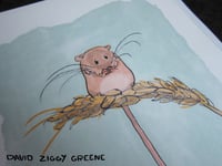 Image 3 of Harvest Mouse print