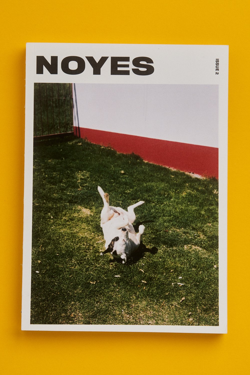 Image of NOYES 2 - The UYU Issue