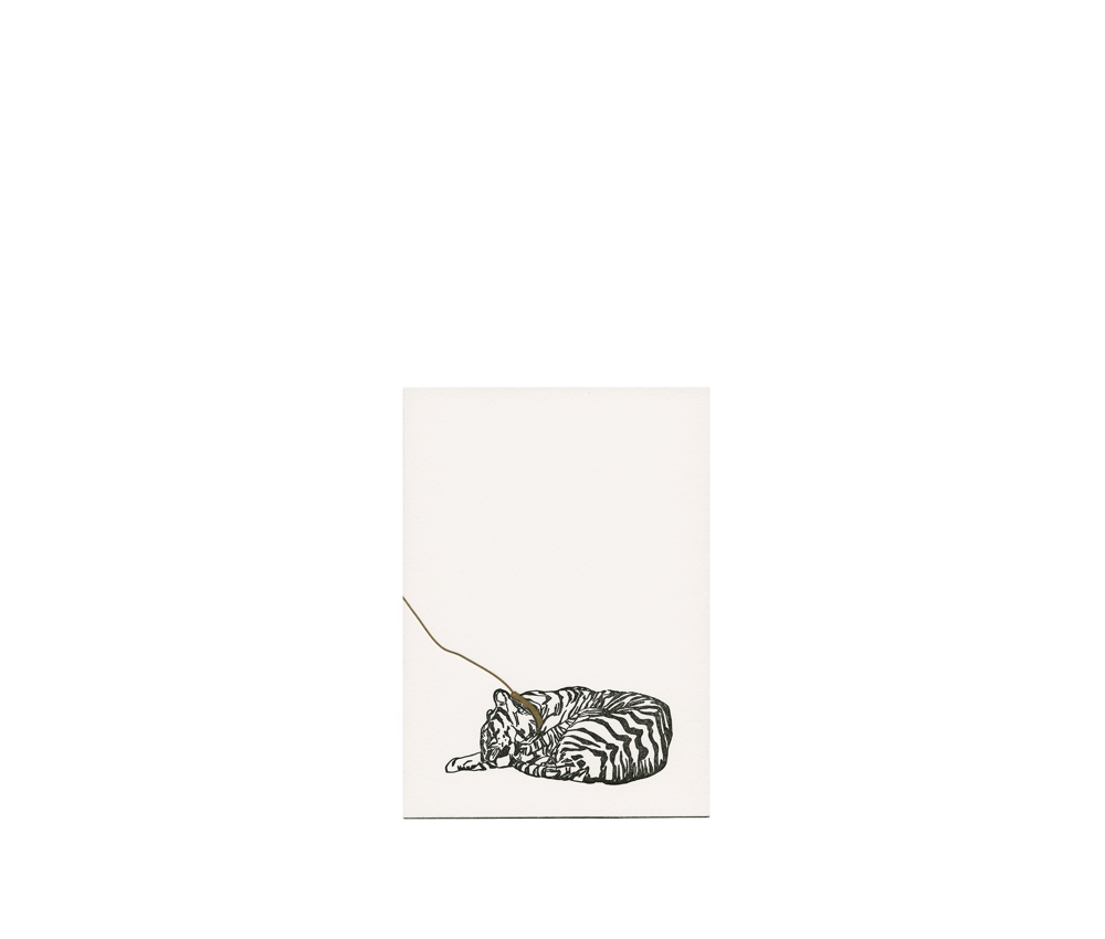 Image of Tiger on a Gold Leash 