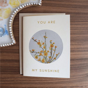 Image of You Are My Sunshine