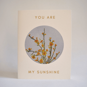 Image of You Are My Sunshine