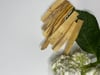 PALO SANTO 5 STICKS