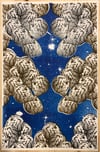 Untitled Print, by Light Hits
