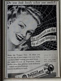 Image 2 of 1940s Nostalgia Collection -PEPSODENT- with real preserved spider web - 6