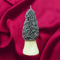 Lg Beeswax Morel Mushroom Candle 