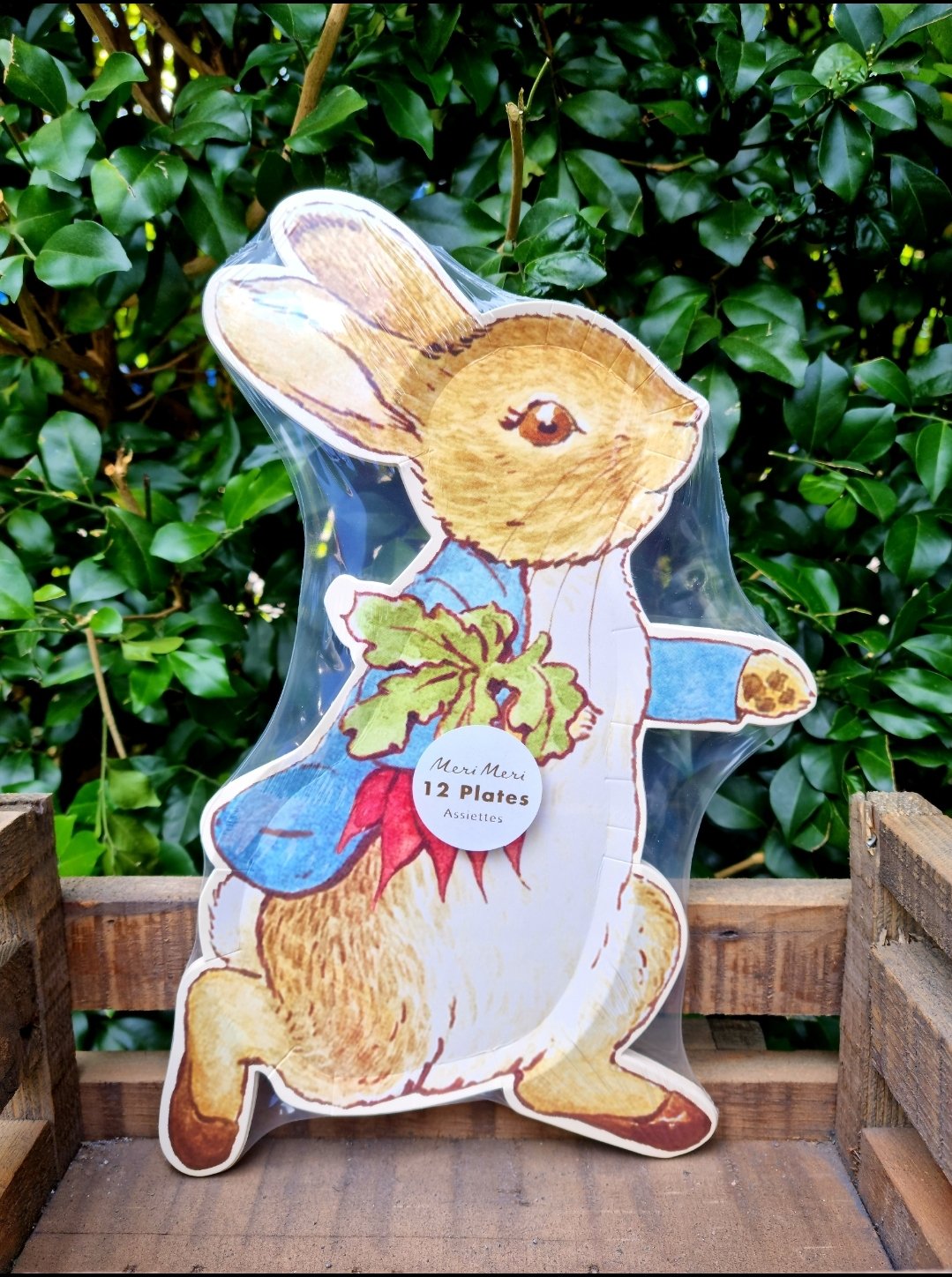 Image of Peter Rabbit Paper Plates