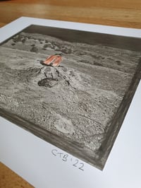 Image 2 of 'The Great Outdoors'