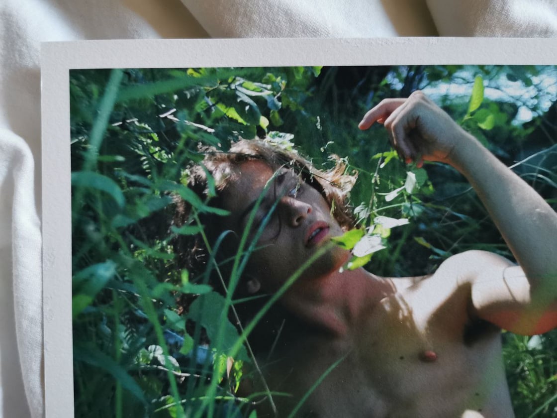 Image of Perviene Adone I