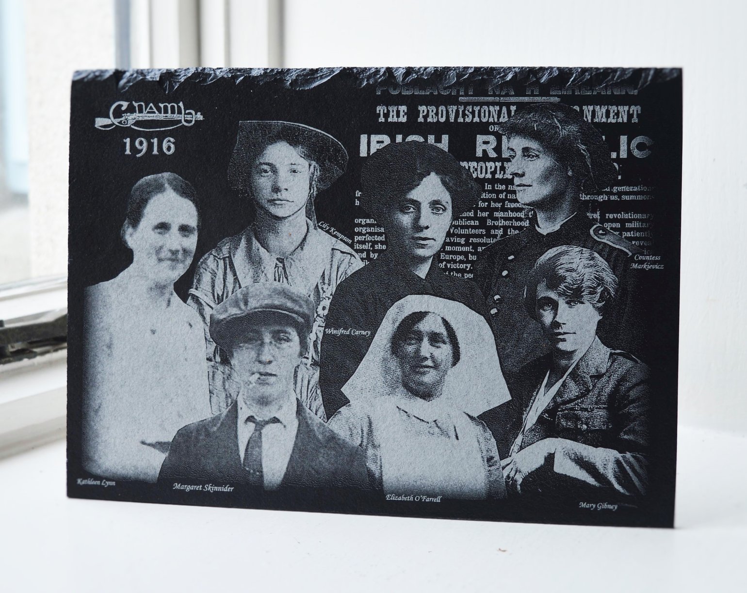 Image of The Women of 1916