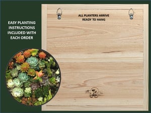 Image of Vertical Succulent Planter Boxes - SQUARE RECTANGLE