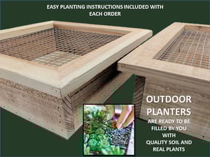 Image of Vertical Succulent Planter Boxes - SQUARE RECTANGLE