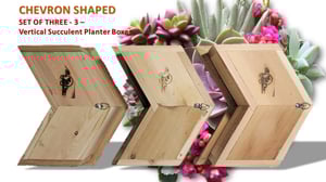 Image of Vertical Succulent Planter Boxes: Chevron/Arrow Shaped Set of 3