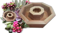 Image 3 of Vertical Succulent Planter Box - 14" OCTAGON WREATH