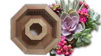 Image 1 of Vertical Succulent Planter Box - 14" OCTAGON WREATH