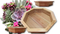 Image 2 of Vertical Succulent Planter Box LARGE 18" OCTAGON 