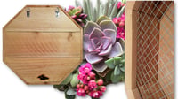 Image 3 of Vertical Succulent Planter Box LARGE 18" OCTAGON 