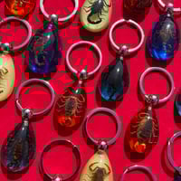 Image 4 of Scorpion Teardrop Keychain 