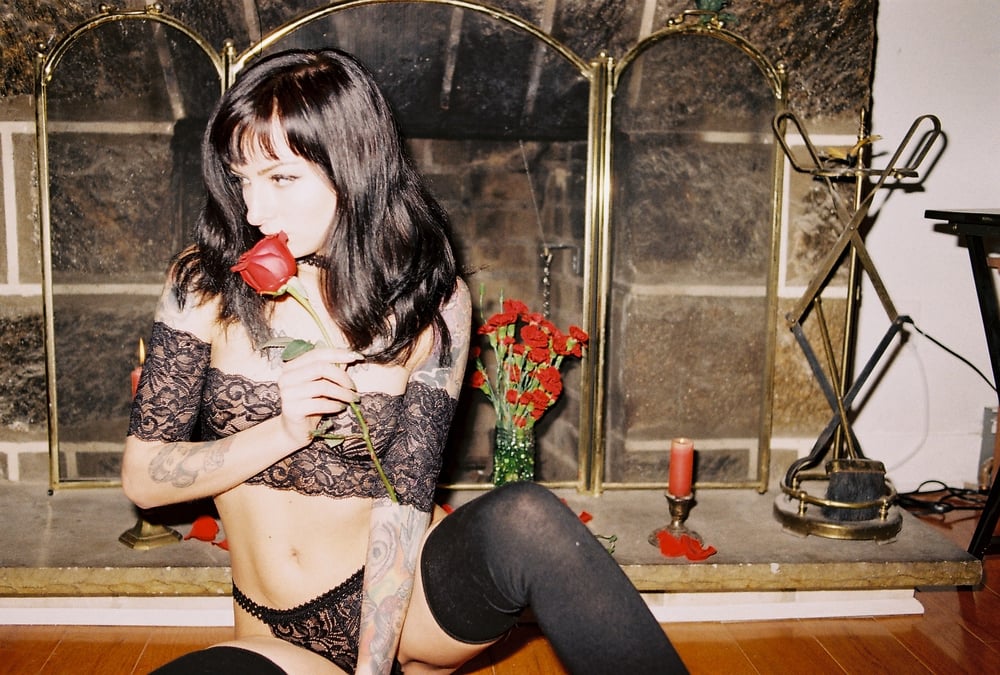 Black dahlia 