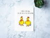 Cmere Chickens