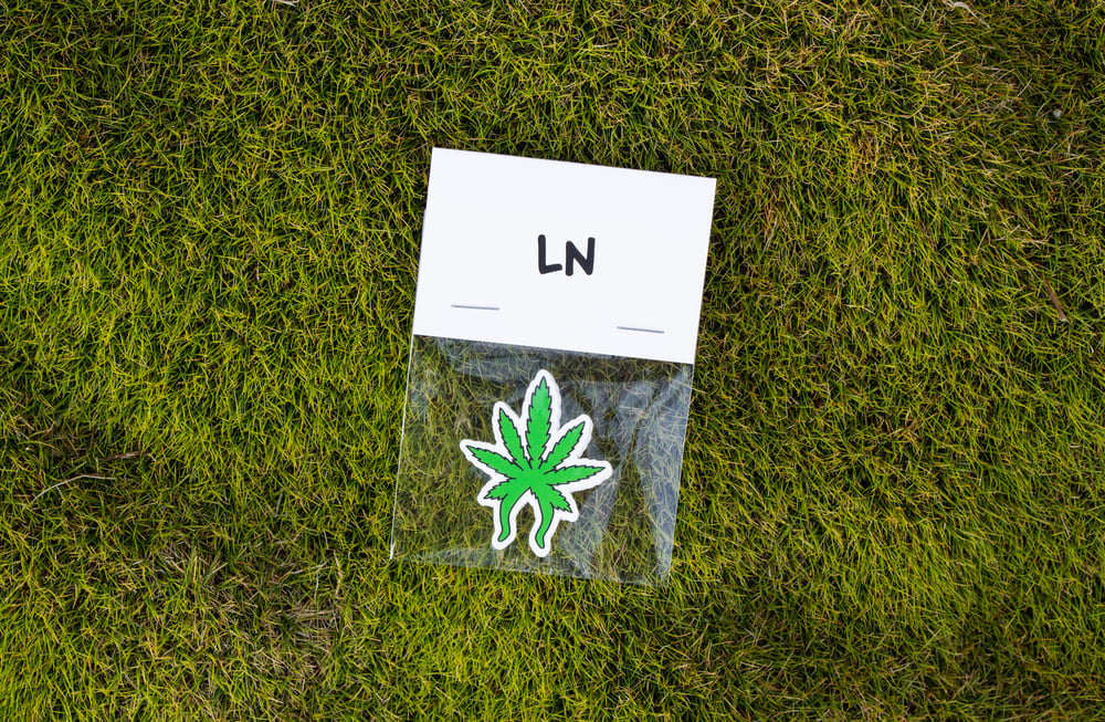 Image of Weed Want Freedom Slap Pack