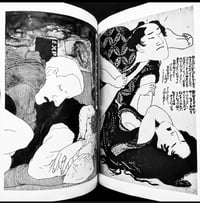 Image 4 of Erotica #14