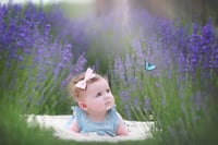 Image 5 of Lavender field family mini session Deposit 2025