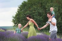 Image 4 of Lavender field family mini session Deposit 2025