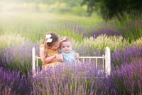 Image 1 of Lavender field family session Deposit 2024