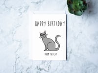 Image 1 of Birthday Cat