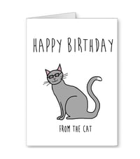 Image 2 of Birthday Cat