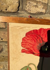 Image 3 of Antique Swedish Beautiful Teaching chart - Poppy 