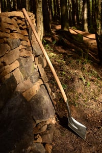 Image 2 of Trailshark 2000