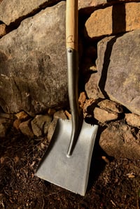 Image 4 of Trailshark 2000