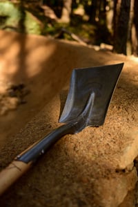 Image 5 of Trailshark 2000
