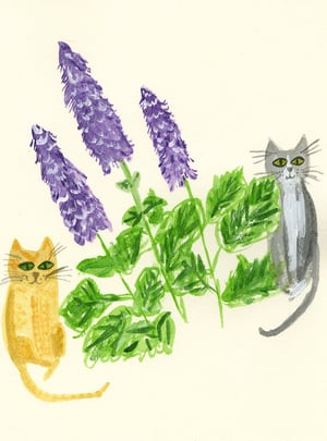 Image of Flower Cats note cards.