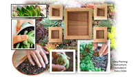 Image 4 of Vertical Succulent Planter Box Sets - Saves Money