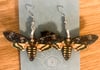 Wooden Death's Head Moth Earrings