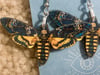 Wooden Death's Head Moth Earrings