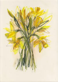 Daffodils 