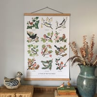 Image 1 of A Year of British Birds - A2 Poster