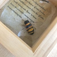Image 4 of Honey Bee paper sculpture.