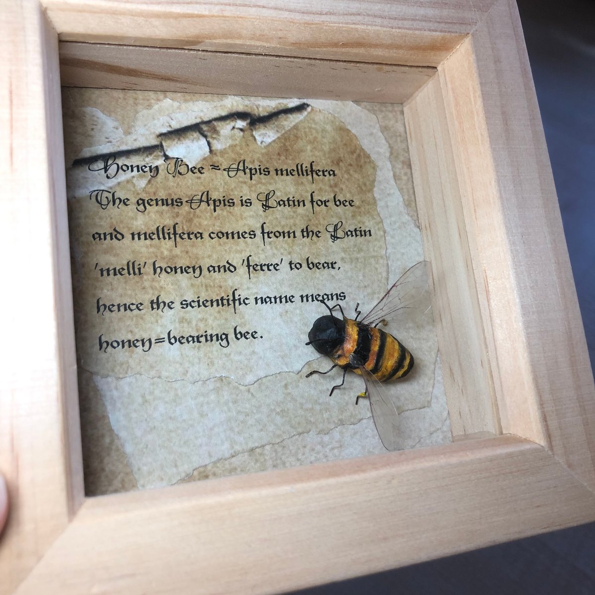 Image of Honey Bee paper sculpture.