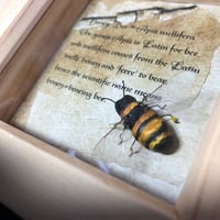 Image 1 of Honey Bee paper sculpture.