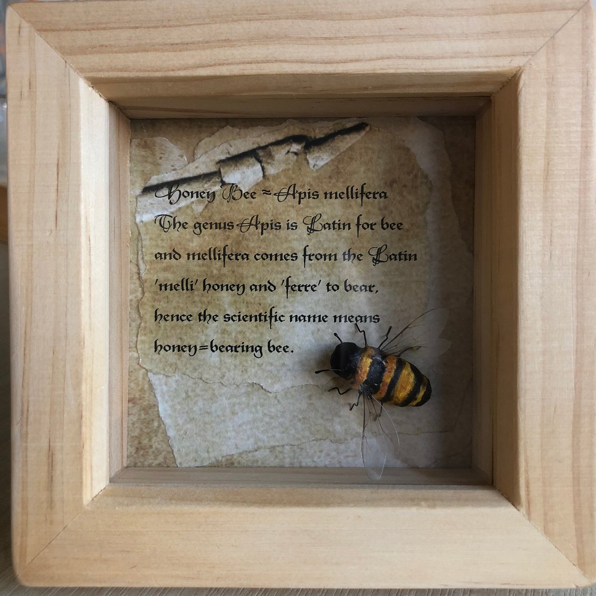 Image of Honey Bee paper sculpture.
