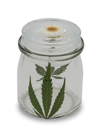 Image 3 of Mary Jane Stash Jar