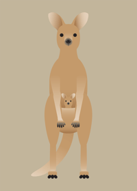 Image 1 of Australian Animals Collection