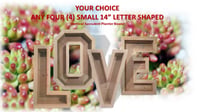 Image 1 of Vertical Succulent Planter Box Any Four Small Letters Numbers Ampersand